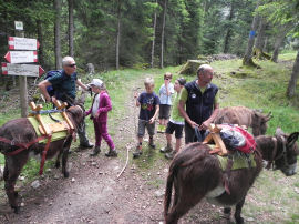 Al bivio nel bosco per la Val Canali (42222 bytes)